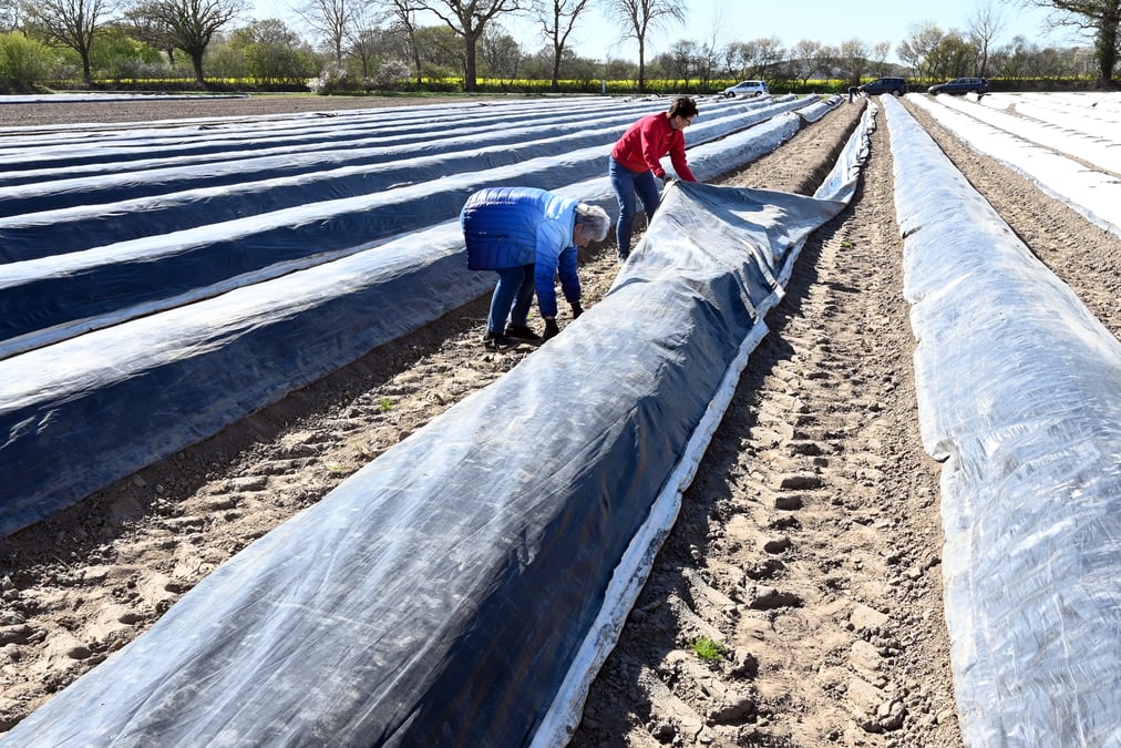 Les travailleurs saisonniers de l'ue autorises en france sous conditions
