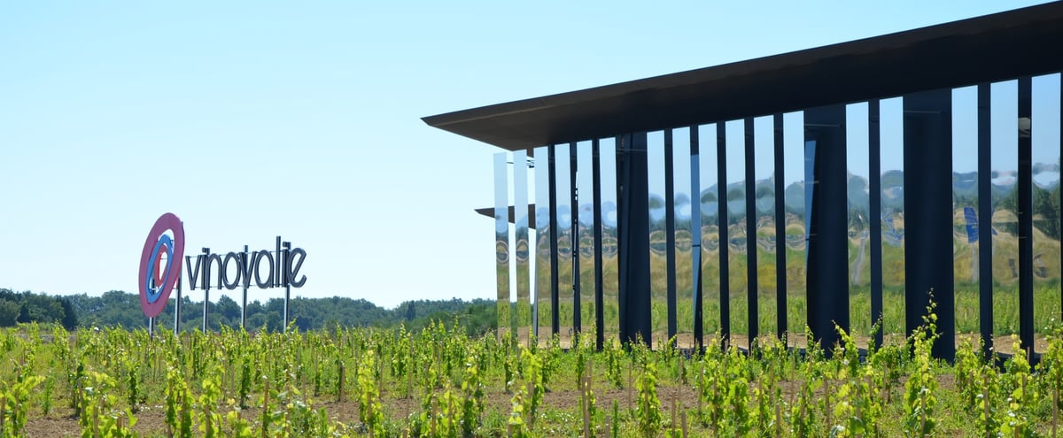 Vinovalie s'attend à perdre 20 à 30% de sa surface de production chez ses vignerons-coopérateurs.
