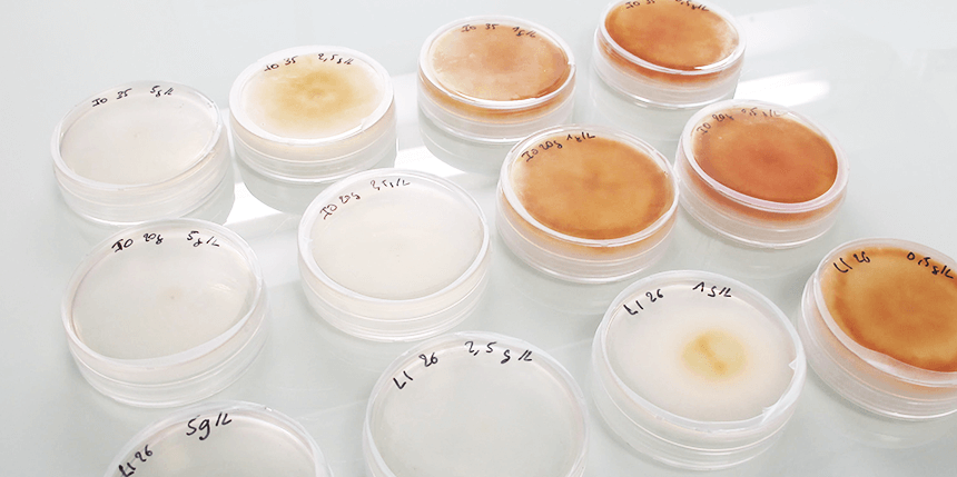 Immunrise Biocontrol