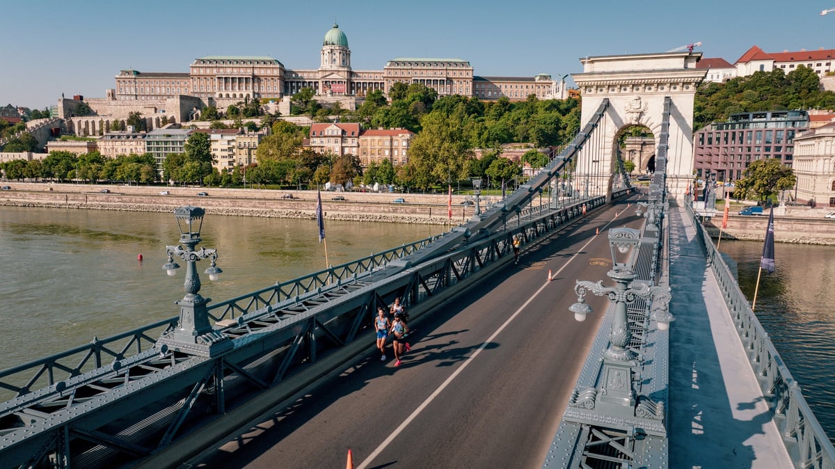 Une vue du pont des chaines a budapest
