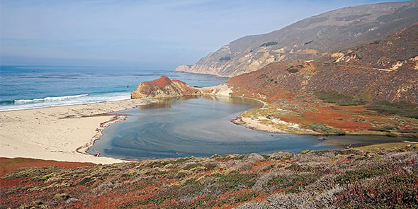 Biotope
