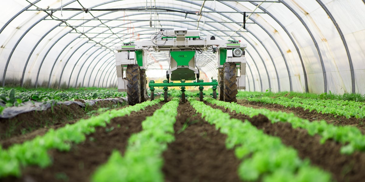 La rentabilité des fermes françaises est aussi grevée par leur petite taille, de 70 hectares en moyenne, « qui rend plus difficile d'opérer des économies d'échelle », analyse Aurélie Catallo, directrice Agriculture France à l'Iddri.