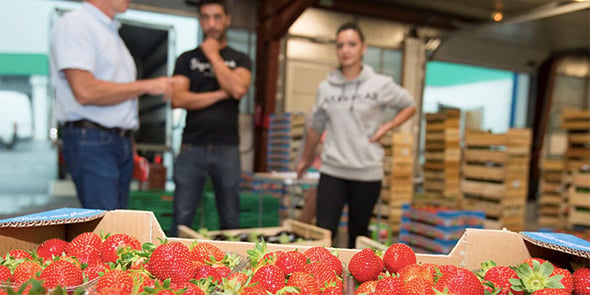 Le MIN de Montpellier s'attache à maintenir l'activité de distribution des productions agricoles du territoire.