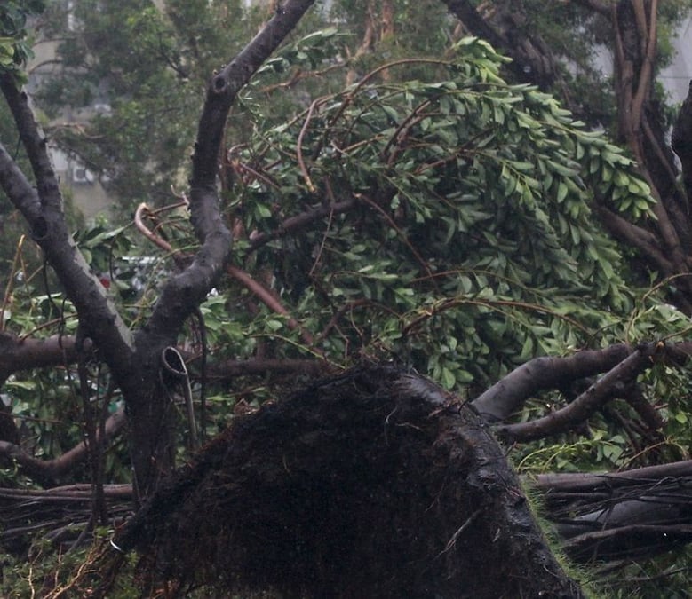Orages meurtriers dans le sud-ouest
