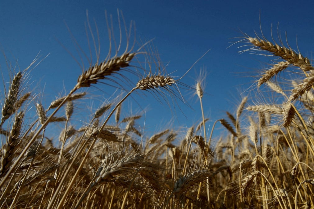 Des progres dans la gestion de la crise alimentaire, mais un accord prendra du temps, dit guterres de l'onu