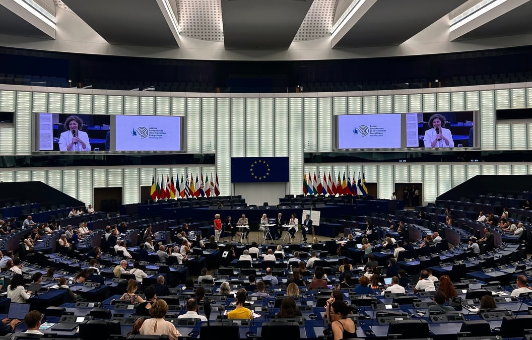 Parlement européen, lors de la remise du plaidoyer.