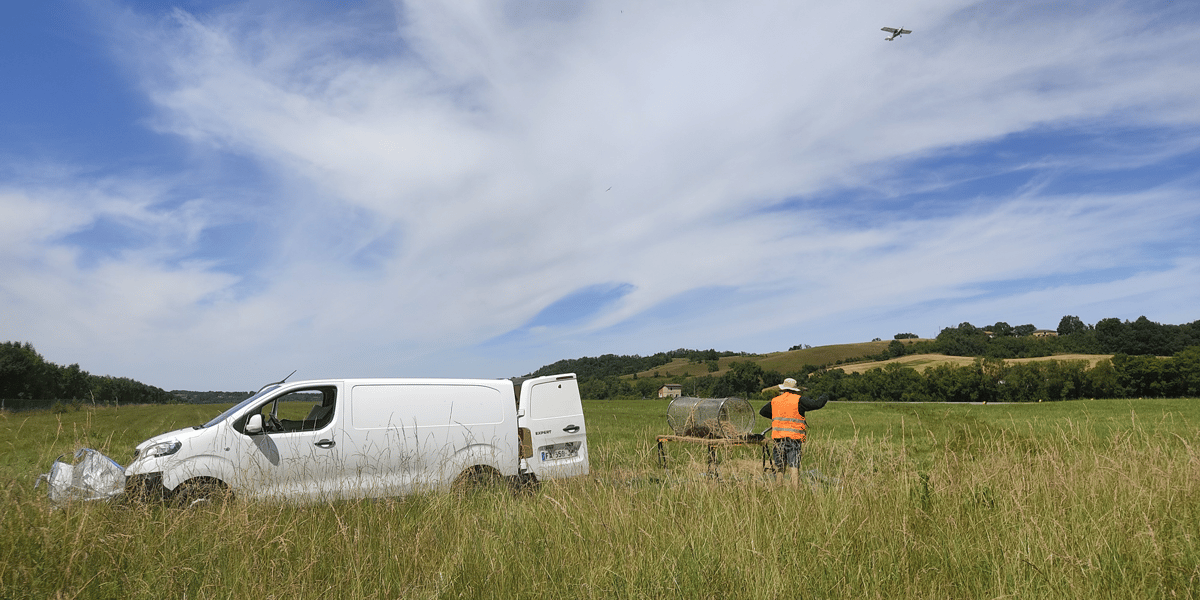 Dans le Gers, pour la première fois, l'aéroport d'Auch a mis à disposition cette année deux hectares de terrains pour récolter des graines par milliers qui seront livrées aux éleveurs locaux et feront perdurer la biodiversité.