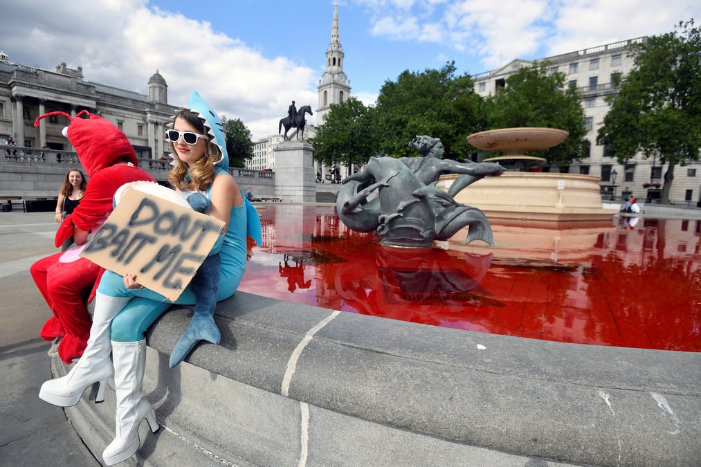 Des defenseurs des animaux colorent en rouge les fontaines de trafalgar square