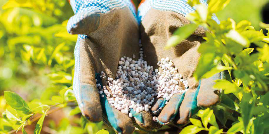 Agriculture engrais agriculteurs