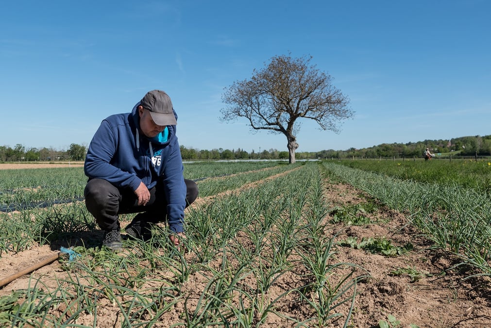zone agroculinaire roanne