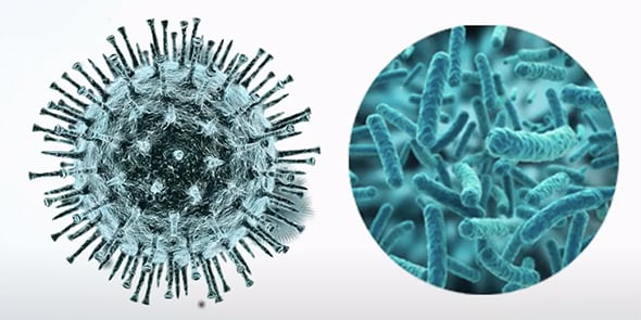 Bio-UV, spécialiste de la désinfection de l'eau par ultra-violets, teste un dispositif de désinfection des surfaces.