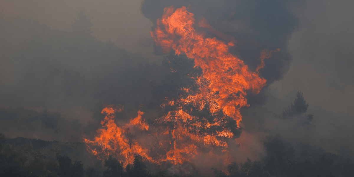 Grece: des milliers de personnes fuient les incendies, la canicule perdure
