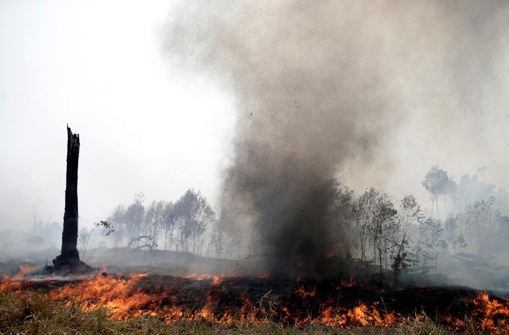 Amazonie: des avions militaires s'activent en appui des pompiers