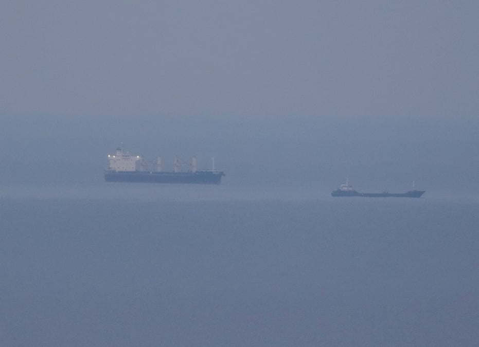 Navires transportant des cereales ukrainiennes pres du port d'odessa