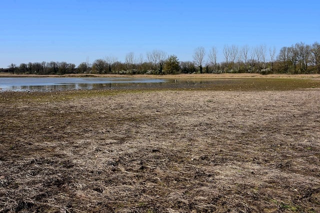 En 2100, la Bretagne subira une baisse des précipitations en été de 26 %, évalue une étude de L’Observatoire de l’environnement en Bretagne.