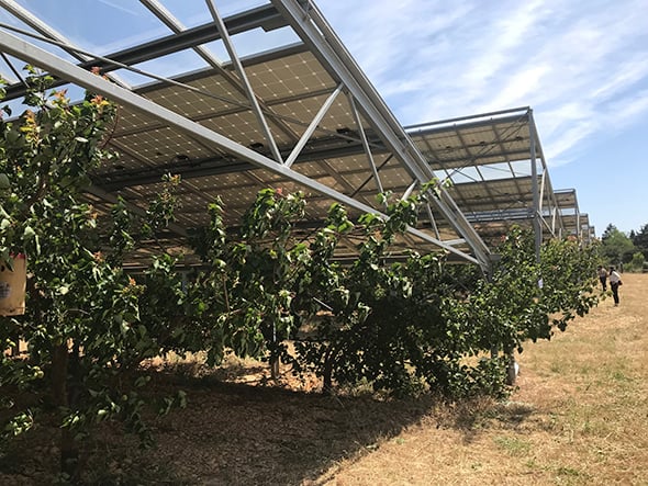 La MAIF lance un fonds Transition pour soutenir des projets agri-photovoltaïques