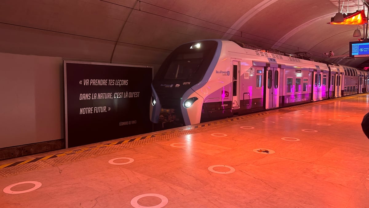 L'Île-de-France a évalué son besoin à 255 exemplaires de RER NG.