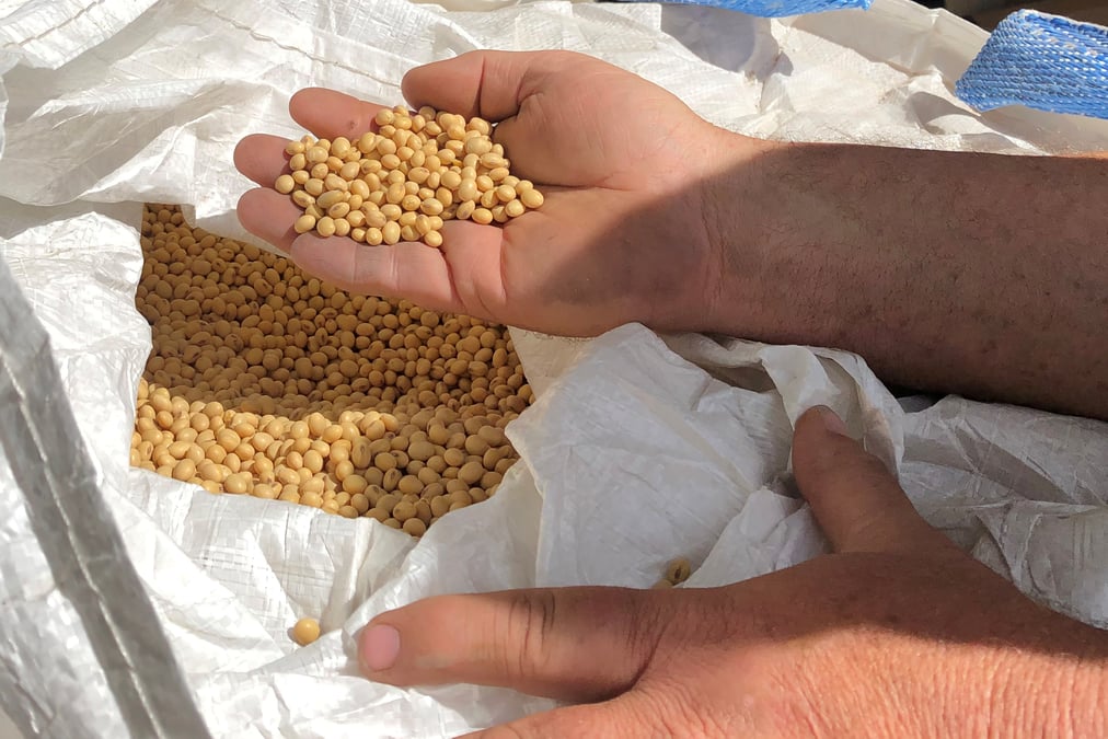 La chine suspend l'achat de produits agricoles americains