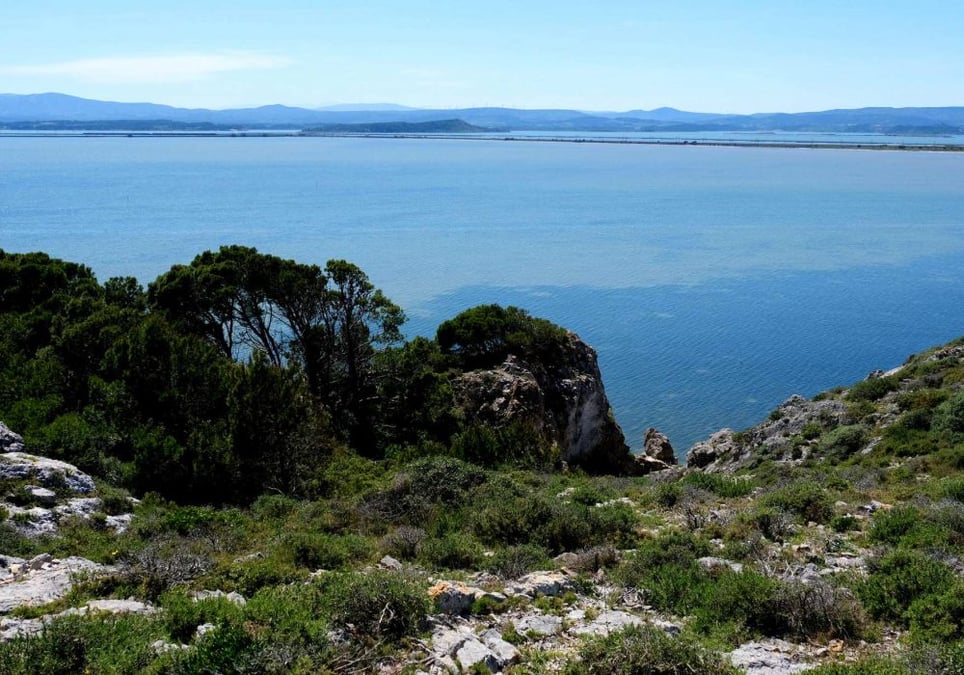 En Occitanie, le Parlement de la Mer a vocation à fédérer la communauté maritime du littoral occitan.