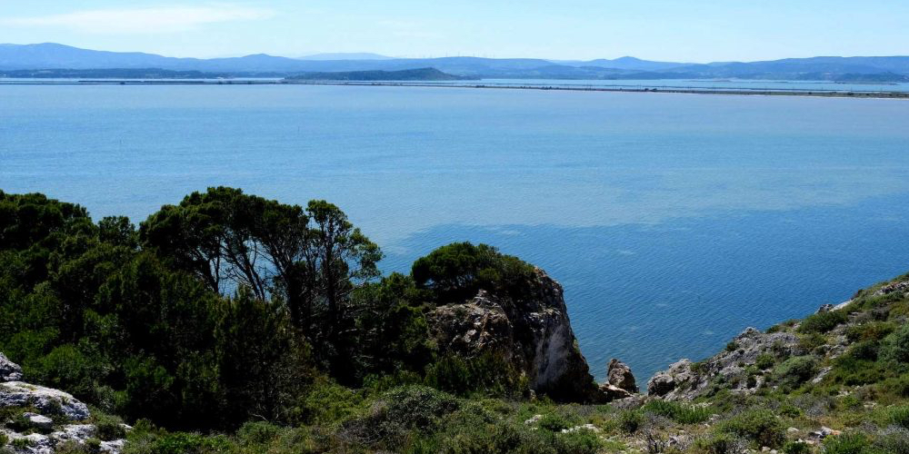 En Occitanie, le Parlement de la Mer a vocation à fédérer la communauté maritime du littoral occitan.