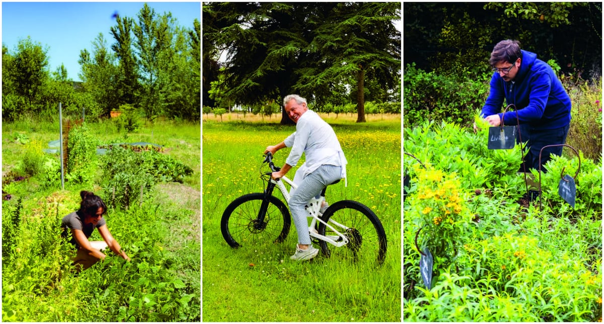 Des chefs dans leur potager : Natalia Crozon,
dans le Gar, Alain Passard,dans l’Eure, et Thomas Benady, dans la Manche.