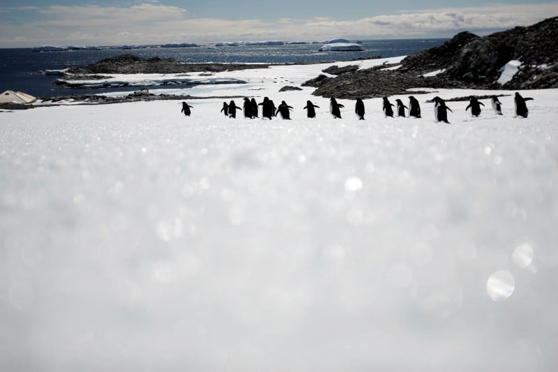 Refroidissement d’une partie de l’antarctique