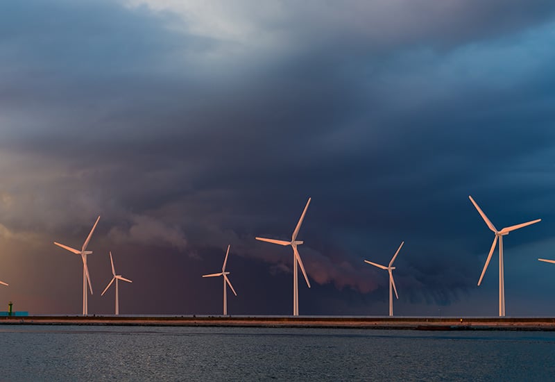 Entre autres attaques contre l'environnement, Trump entend interdire tout projet d'éoliennes en mer.