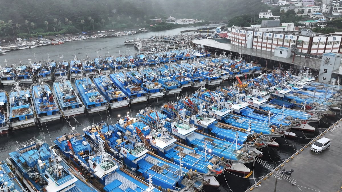 Des bateaux de peche sont ancres dans le cadre d'une evacuation