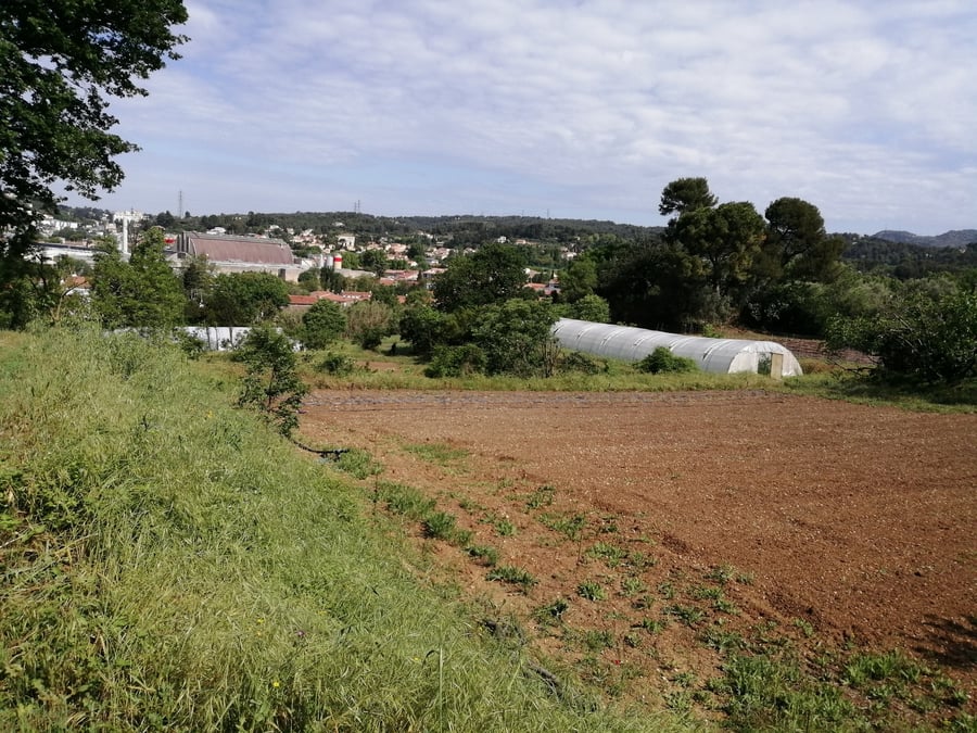 agriculture urbaine marseille