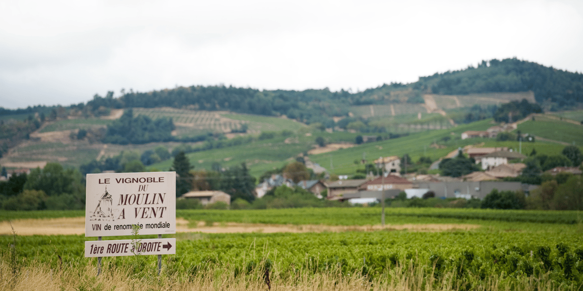 beaujolais