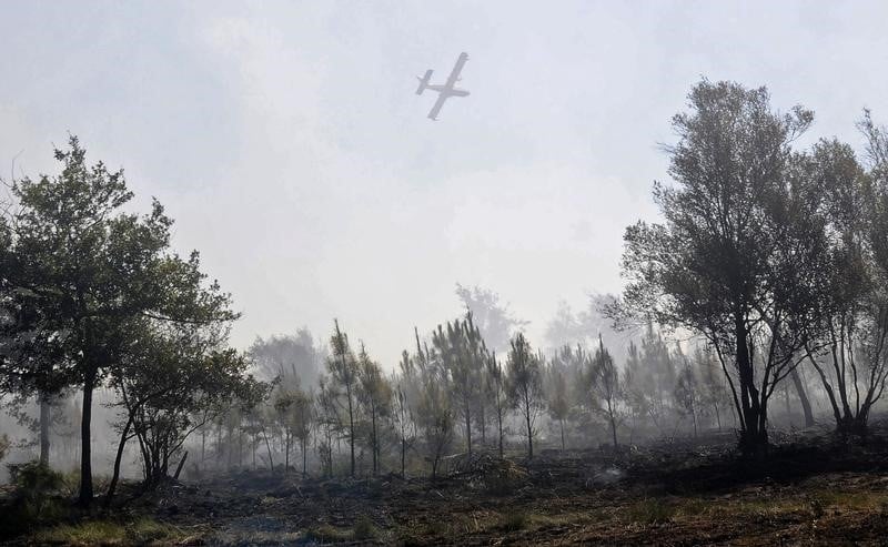 255 hectares de forets detruits par des feux en gironde