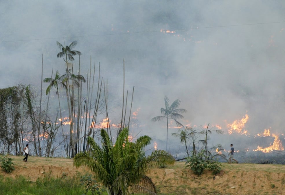 Deforestation de l'amazonie: les emissions du bresil en hausse de 9,6% en 2019