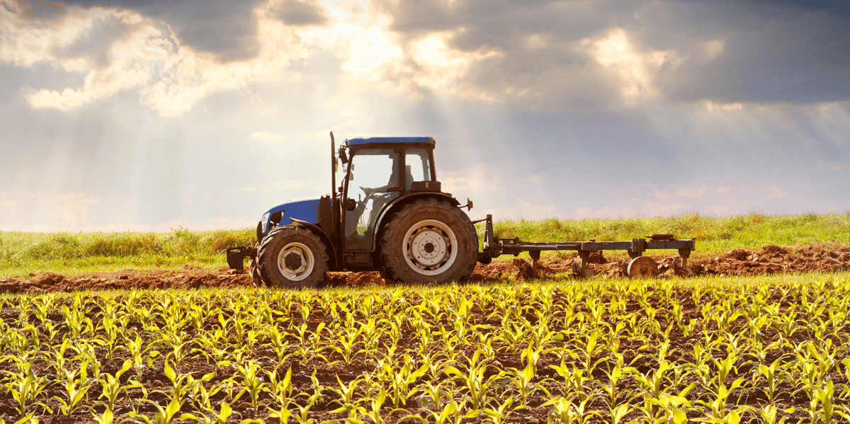 agroécologique, agriculture