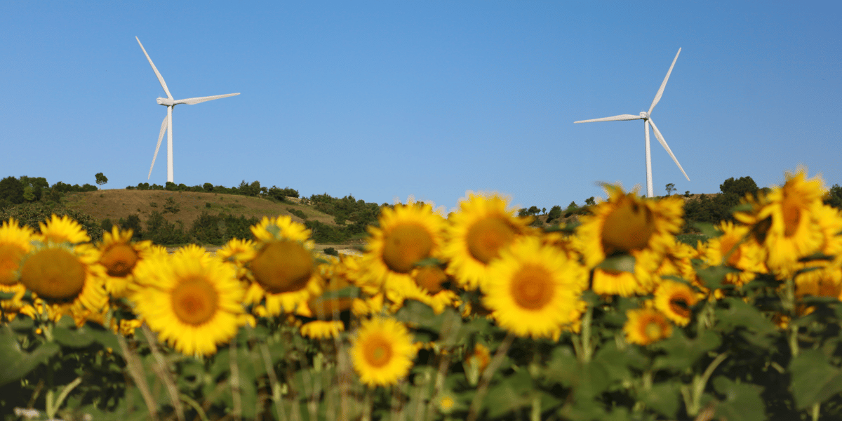 eoliennes agri