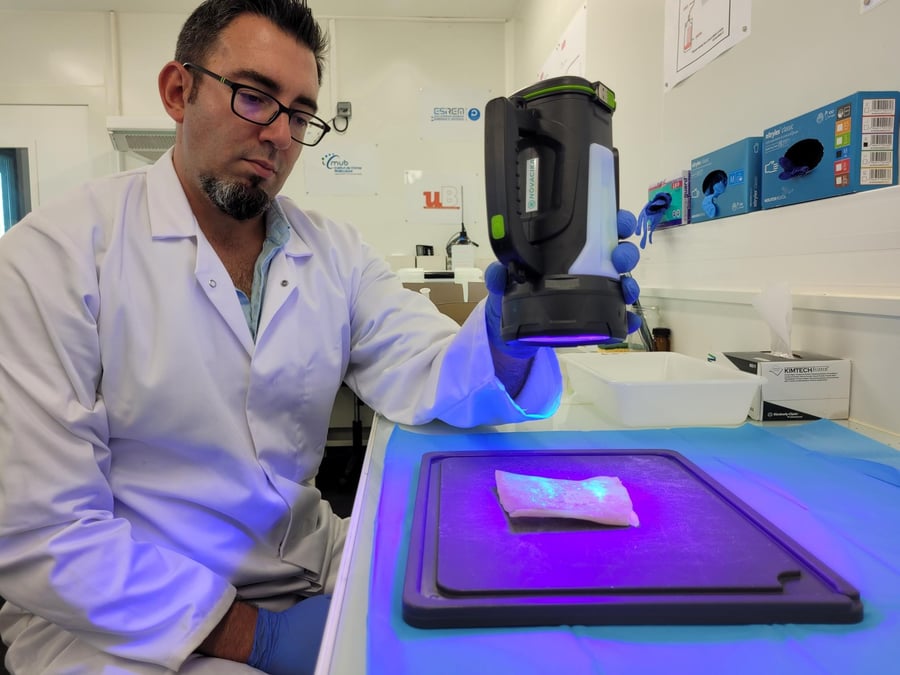 Application du produit Cohésives sur une peau artificielle qui simule une brûlure thermique chez l'homme.