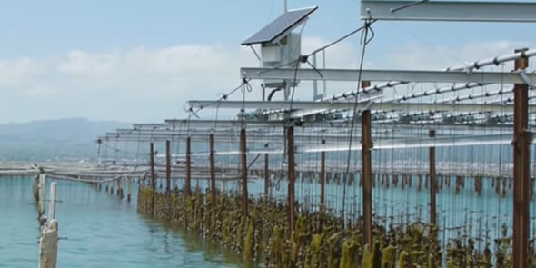 Le système solaire de reproduction des marées, inventé par Medithau à Marseillan (34)