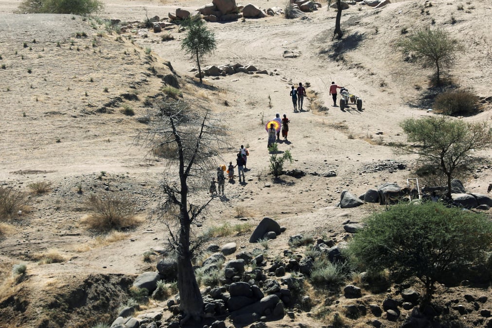 Le premier ministre ethiopien nie la possibilite d'une guerilla au tigre