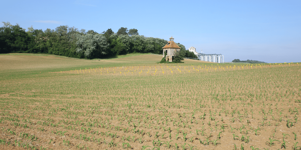 L'Occitanie est depuis quelques années la première région bio de France.