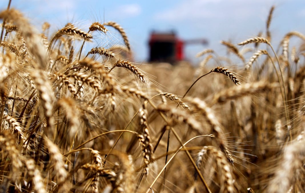 « La Hongrie va fermer ses frontières à 24 produits ukrainiens », donc bien davantage que les quatre actuellement concernés, afin de « protéger les intérêts de nos agriculteurs », a déclaré le ministre hongrois de l'Agriculture Istvan Nagy.
