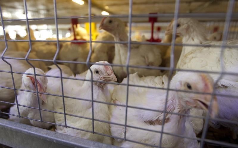 Pilgrim's Pride veut acheter Hillshire 5,52 milliards de dollars