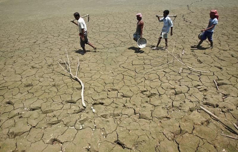La désertification menace un quart de l'Inde
