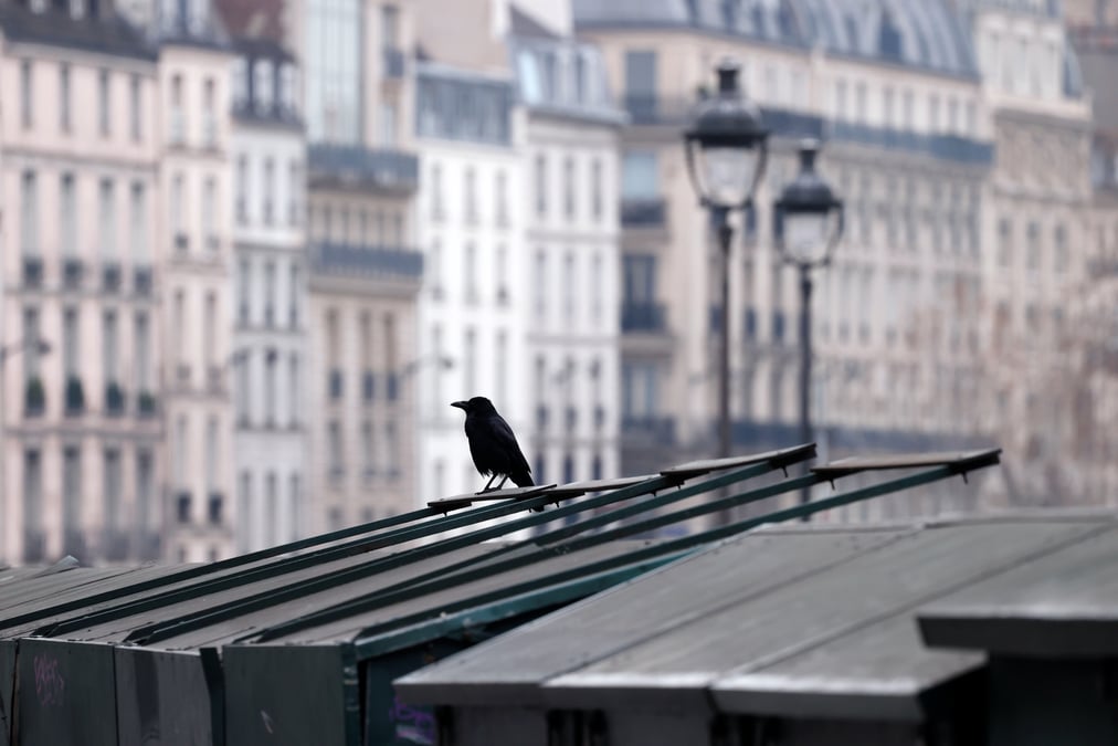 La chasse a la glu jugee illegale par la cour de justice de l'ue