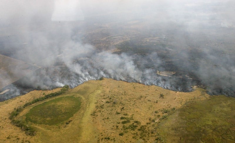 Le rythme de deforestation de la savane a progresse en 2017 au bresil