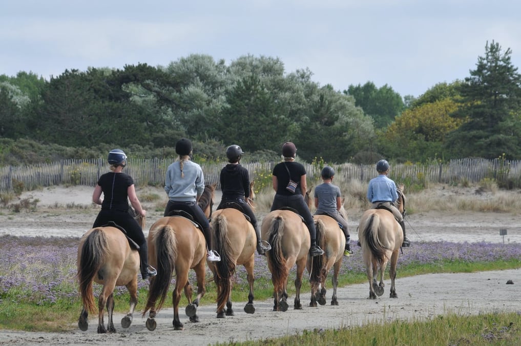 Tourisme en Baie de Somme