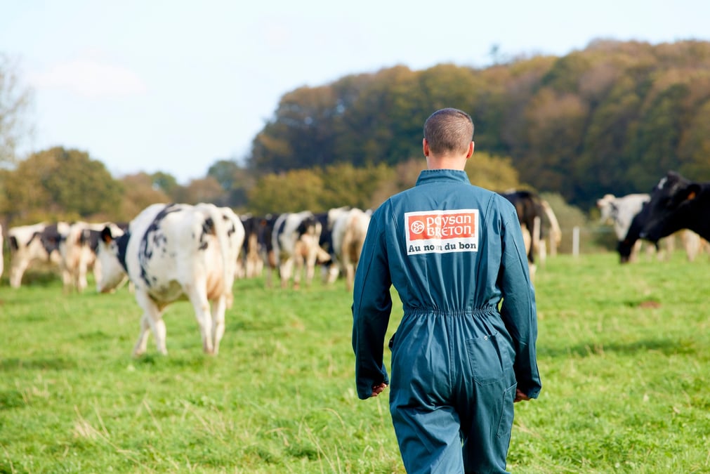 Les bons résultats de la coopérative Even en 2023 vont être redistribués aux éleveurs sous la forme d'un prix du lait plus rémunérateur. La filiale Laïta, connue pour ses marques Paysan Breton et Madame Loïk, représente 64% des revenus du groupe.
