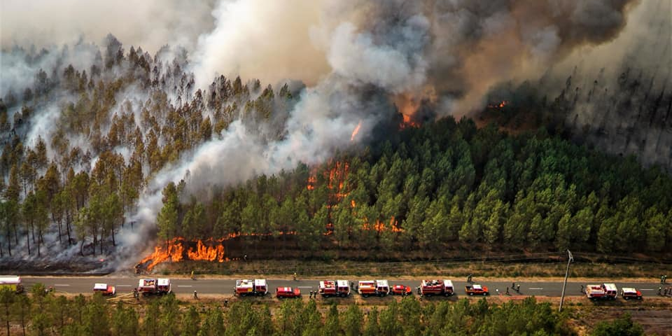 Incendie de Landiras. Reprise en août 2022