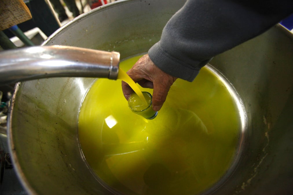 Huile d'olive oléiculture trituration agroalimentaire agro industrie