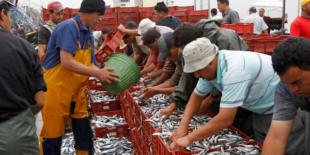 pêche poisson Maroc