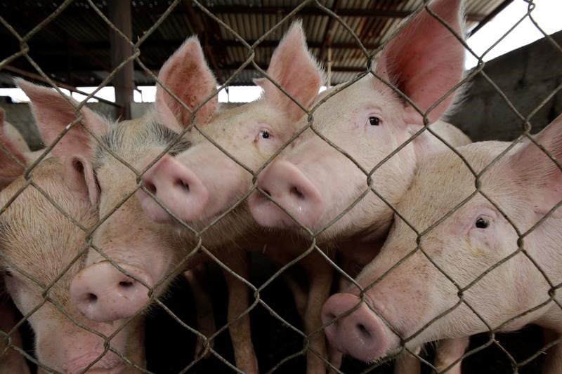 La chine devrait ouvrir davantage son marche au porc francais