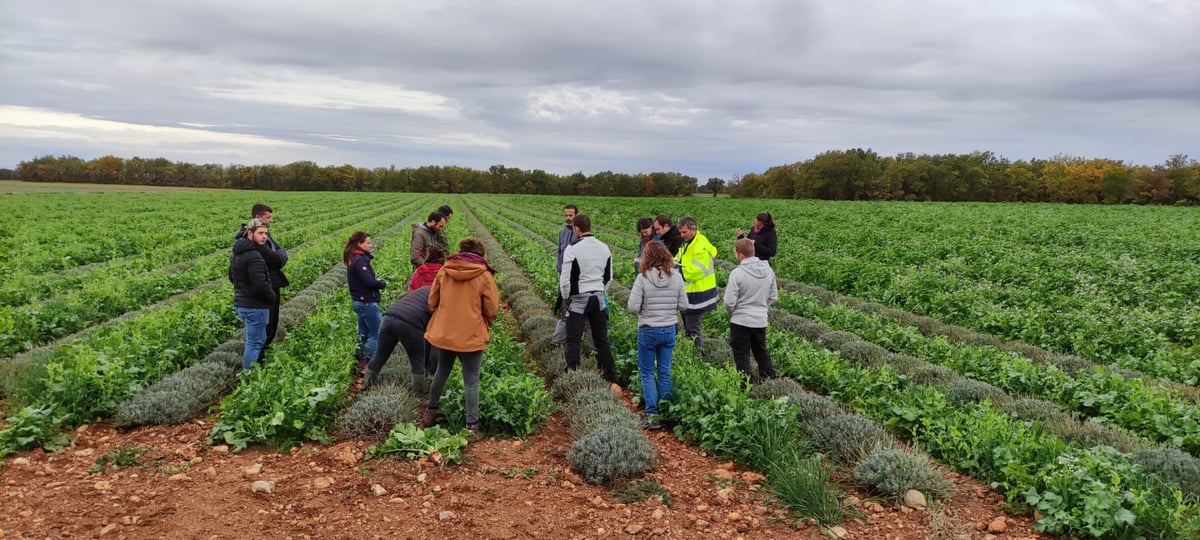 Regain : approche écosystémique de l'agriculture